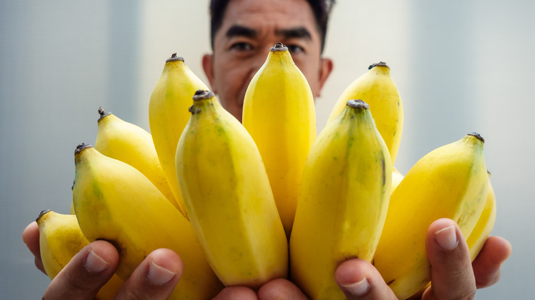 man holding bunch of bananas