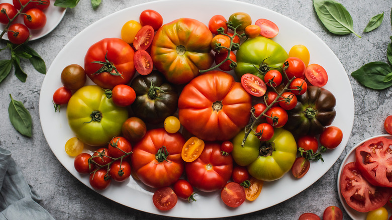 plate of different types of tomatoes