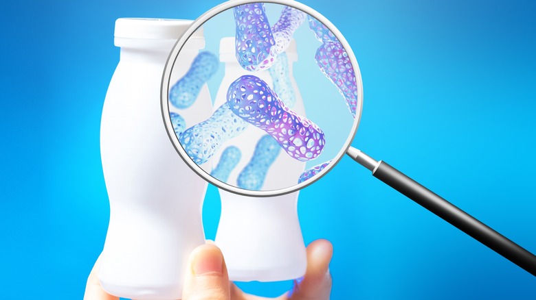 magnifying glass showing yogurt probiotics