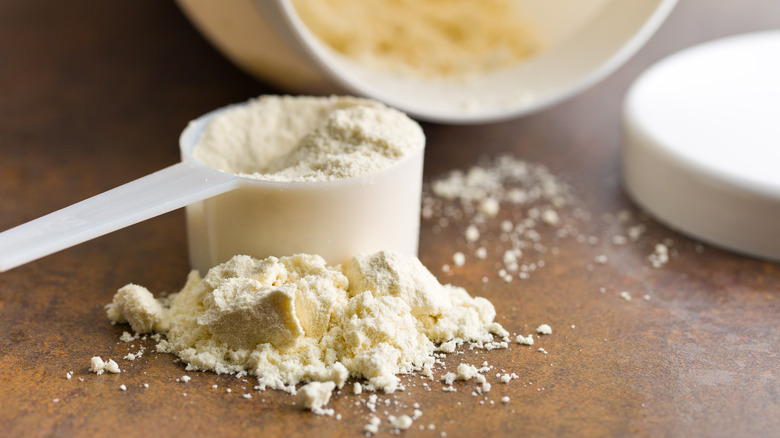 Protein powder in scoop