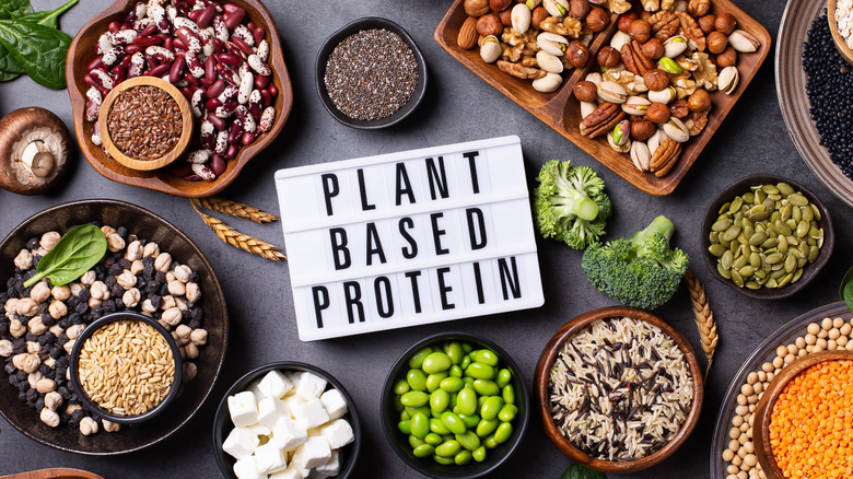 Assortment of plant-based protein sources