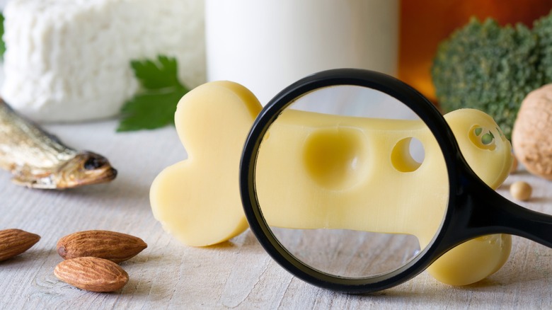 Magnifier placed in front of bone-shaped cheese