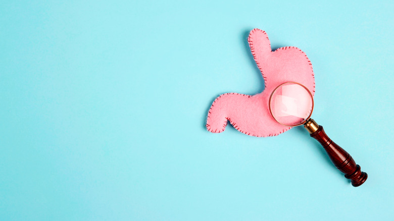 stomach with magnifying glass