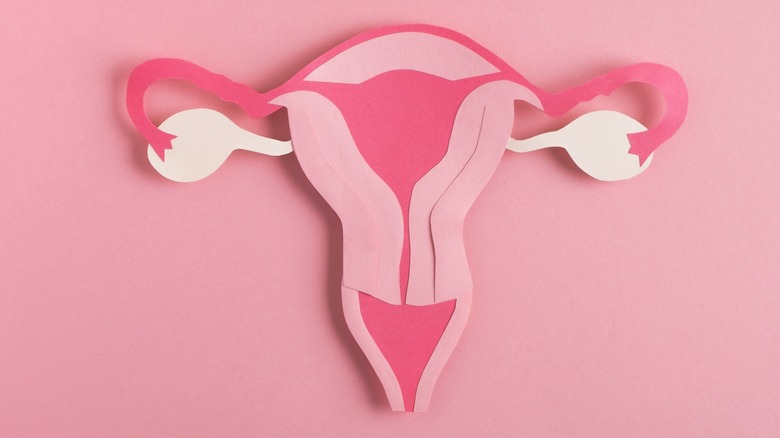 outline of a uterus on a pink background