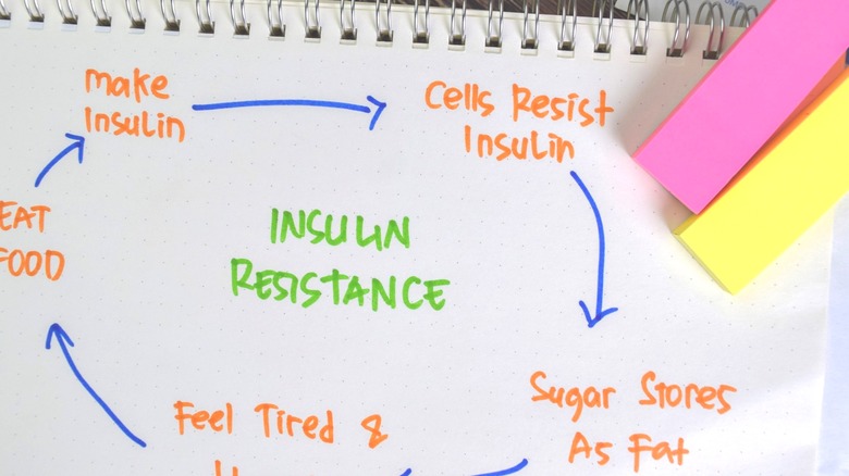 insulin resistance cycle diagram