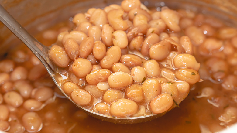 pinto beans in bowl