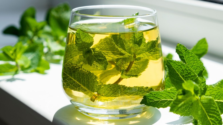 mint tea in glass