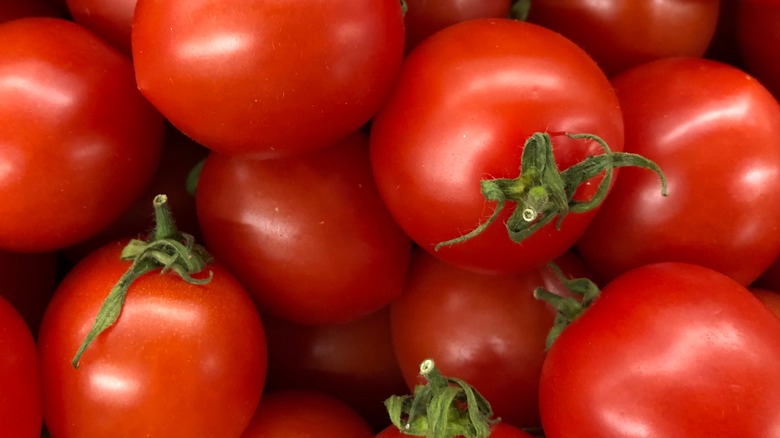 tomatoes close up photo