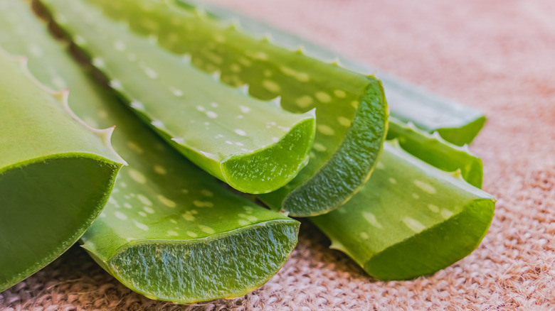 sliced aloe vera leaves