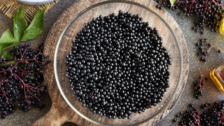 fresh elderberries in a bowl