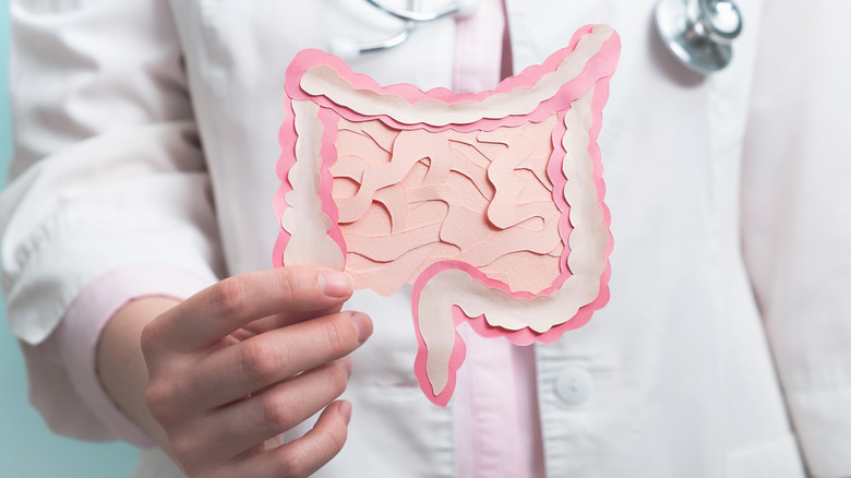 doctor holding intestines paper cutout