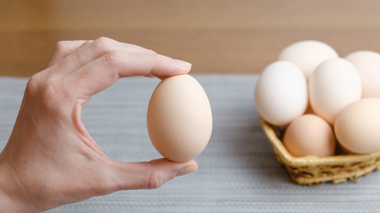 Person holding an egg