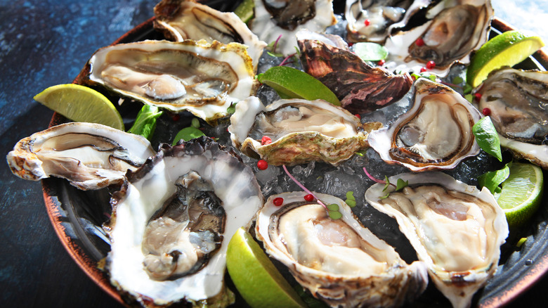 oysters on plate