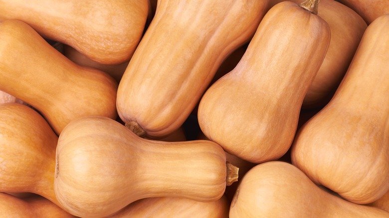 butternut squash