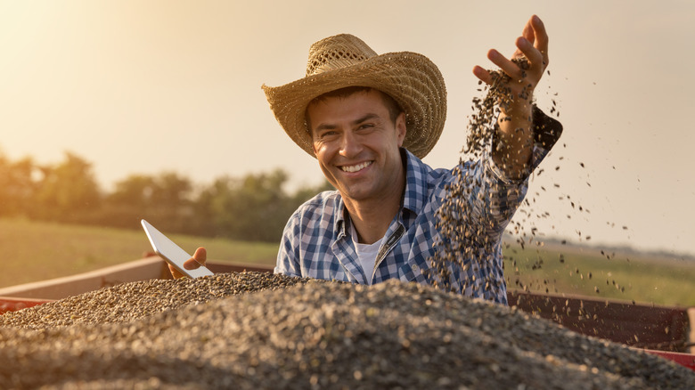 farmer with sunflower seeds