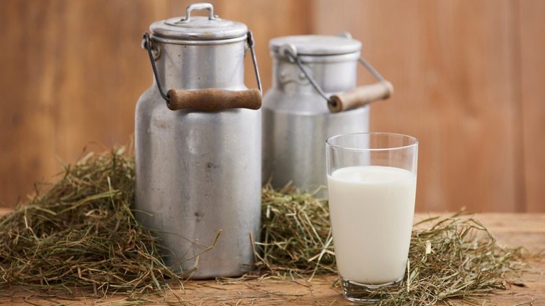 milk in glass and jugs