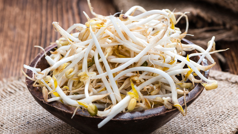 beansprouts served in bowl