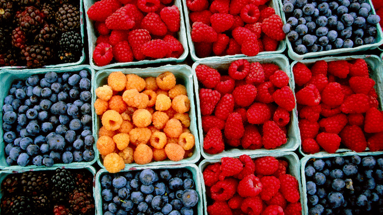 Variety of berries in crates in a market's stall