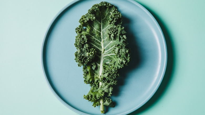 Top view of a kale leaf on a blue plate