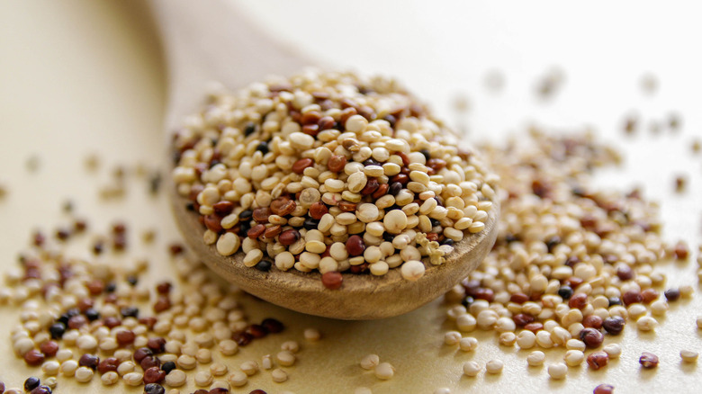 Close-up of quinoa seed on a wooden spoon