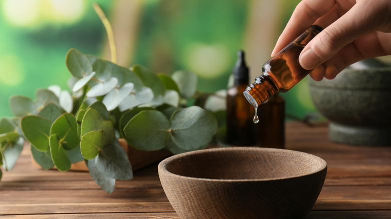 eucalyptus oil dripped into wooden bowl