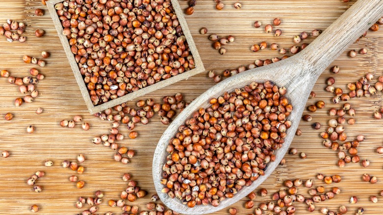 Sorghum in a spoon and a bowl