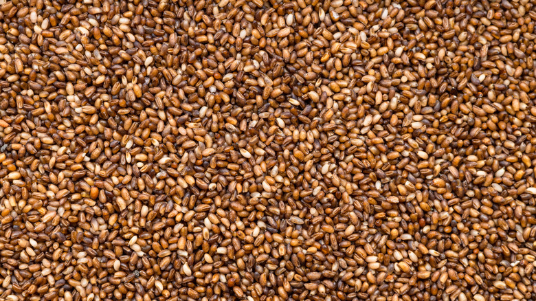 Overhead shot of a pile of teff