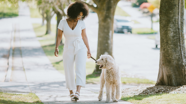 Woman walking with her poodle