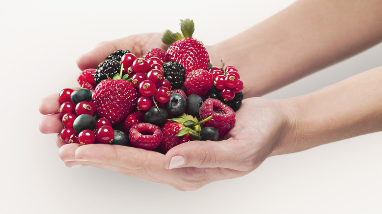 woman's hands holding an array of berries