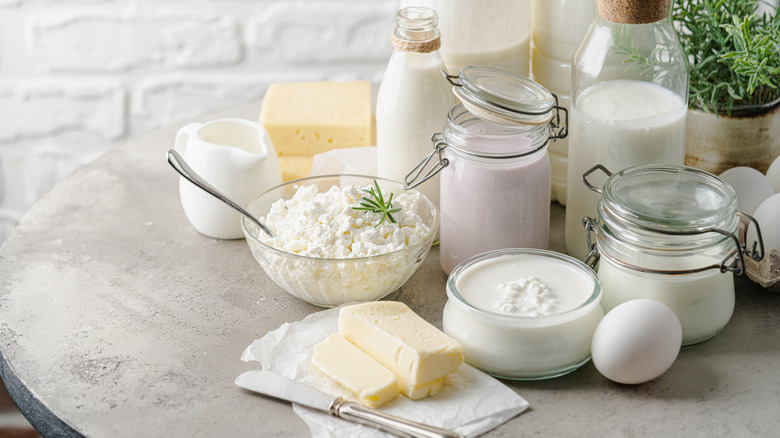 Varieties of yogurt, cheese, and milk on a table