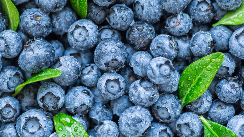 water droplets on fresh blueberries