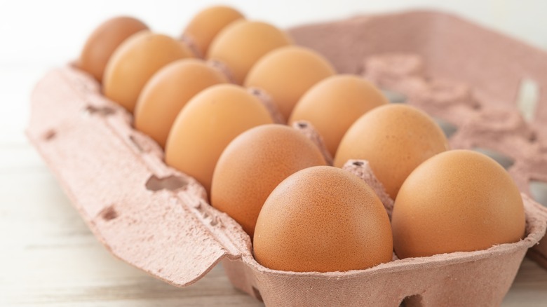 a carton of 12 brown eggs