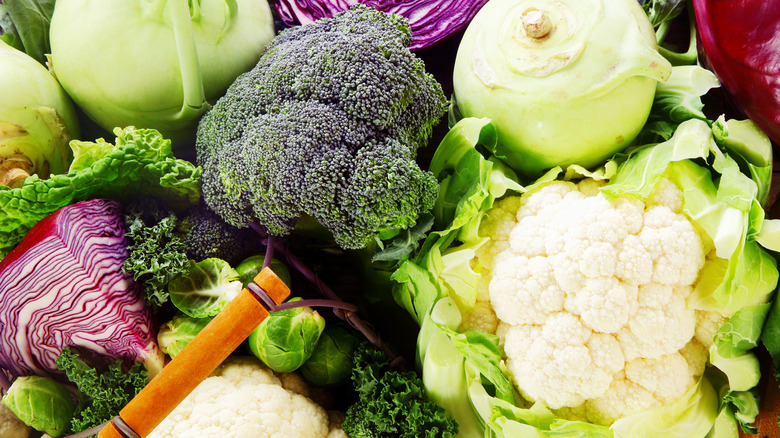 a variety of cruciferous vegetables