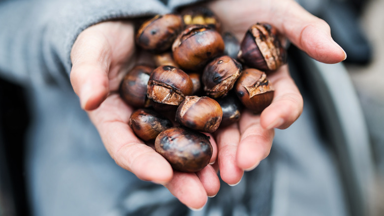 roasted chestnuts held in hands