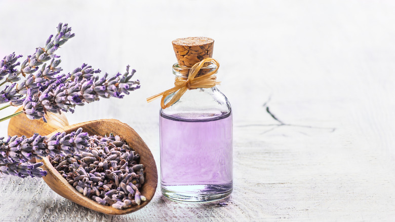 A bottle of lavender oil next to lavender flowers and a wooden scoop