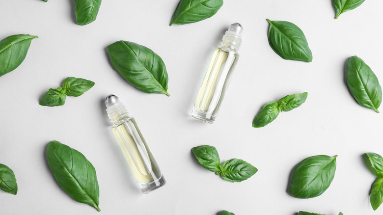 basil essential oil