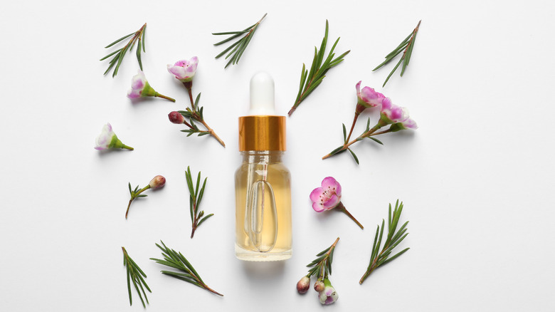 A bottle of tea tree oil surrounded by flowers and plant springs