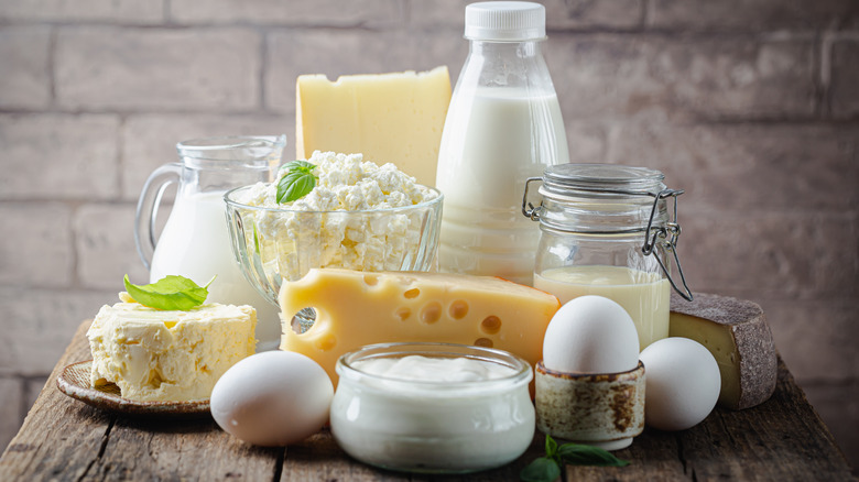 mixed dairy and cheese products