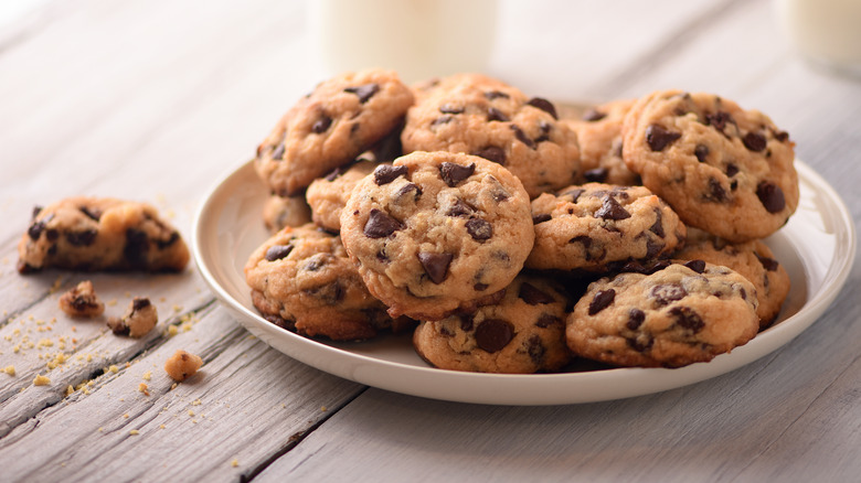 Chocolate chip cookies on a plate