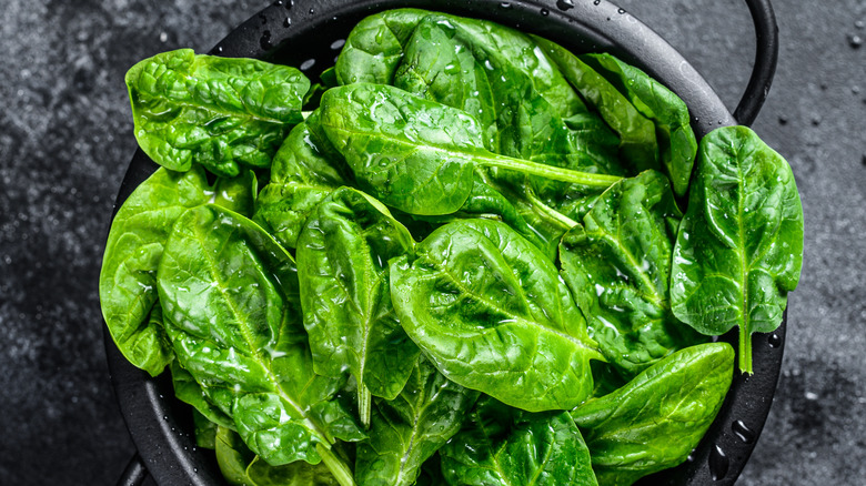 Overhead shot of wet spinach in a colander against a dark background