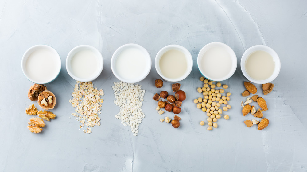 dairy in cups with various nuts in front of each