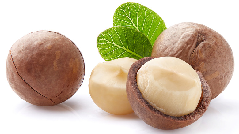 Macadamia nuts and leaves on white background