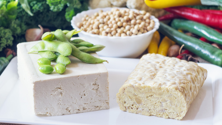 tofu, tempeh and bowl of soybeans