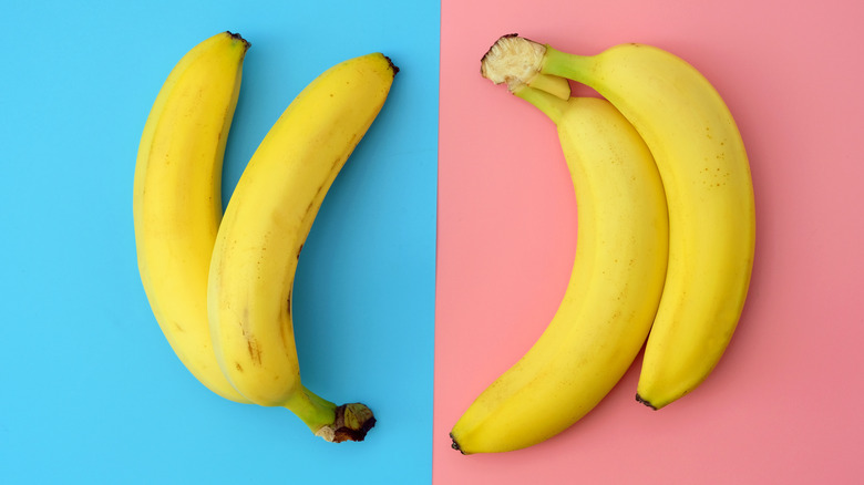 Two bananas against a blue background next two two bananas against a pink background