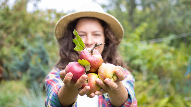 farmer girl and apples
