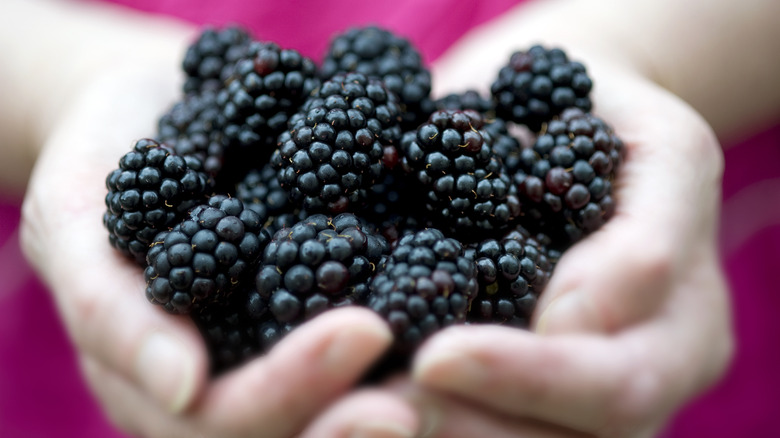 Woman holding a bunch of blackberries