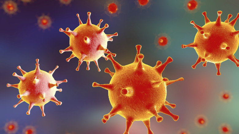 Digital illustration of herpes simplex virus