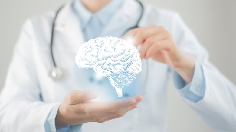 doctor holds illustration of brain
