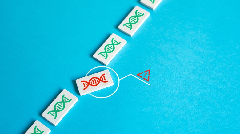 Concept of damaged DNA with red and green DNA images on blue background