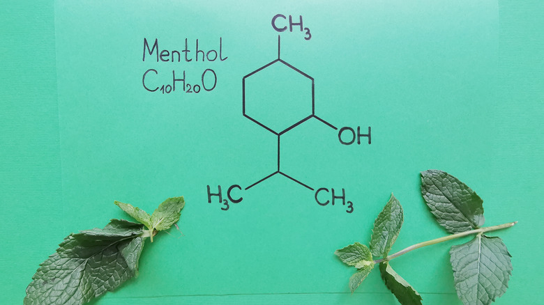 Menthol chemical structure drawing